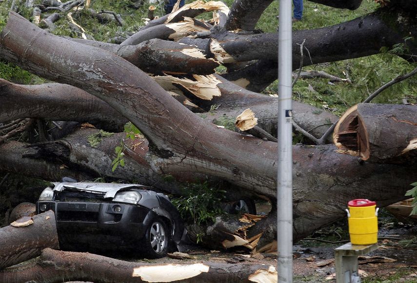 Fotografía de árbol que cayó sobre un vehículo a causa de la tormenta. (FOTO REFERENCIAL)