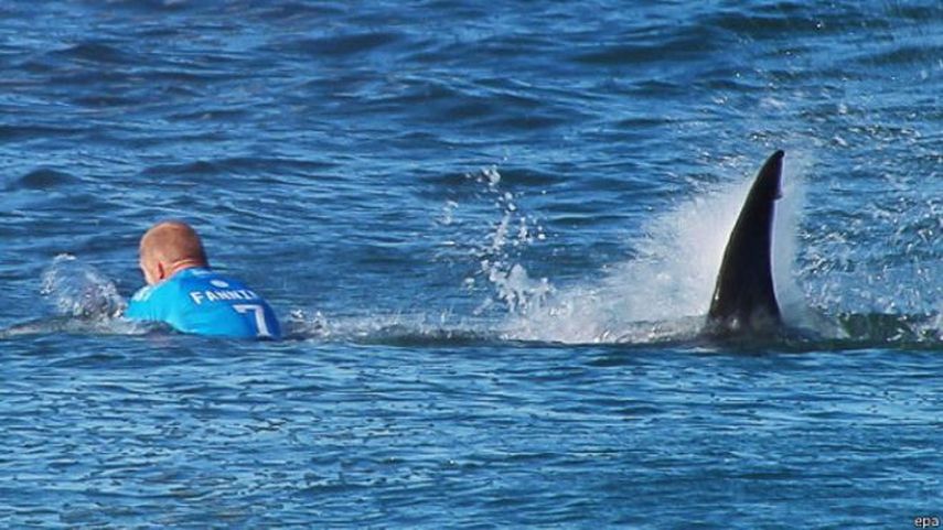El ataque se produjo en la playa New Smyrna Beach (Imagen referencial)