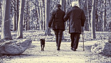 El estrés crónico hace que nuestro cuerpo libere ciertos elementos, llamados radicales libres que, en grandes cantidades, dañan nuestras células sanas.&nbsp;