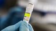Argentina ha registrado un aumento en los casos de hantavirus, pero no un brote, según declaró un experto a la AFP el 6 de mayo, mientras que las infecciones a bordo de un crucero han provocado una alarma sanitaria mundial. El MV Hondius zarpó de Ushuaia, en el sur de Argentina, el 1 de abril y actualmente se encuentra anclado frente a las costas de Cabo Verde tras la muerte de tres pasajeros, posiblemente a causa del hantavirus. Argentina ha registrado un aumento en los casos de hantavirus, pero no un brote, según declaró un experto a la AFP el 6 de mayo, mientras que las infecciones a bordo de un crucero han provocado una alarma sanitaria mundial. El MV Hondius zarpó de Ushuaia, en el sur de Argentina, el 1 de abril y actualmente se encuentra anclado frente a las costas de Cabo Verde tras la muerte de tres pasajeros, posiblemente a causa del hantavirus.
