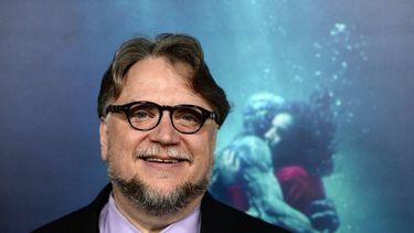 Del Toro es uno de los invitados al Festival Internacional de Cine de Marrakech, que arrancó el pasado sábado tras un año de interrupción y pasa por ser uno de los más importantes del continente africano.
