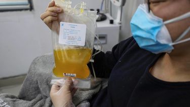 El doctor Zhou Min, un paciente recuperado del COVID-19, dona plasma en el banco de sangre en Wuhan, China. 