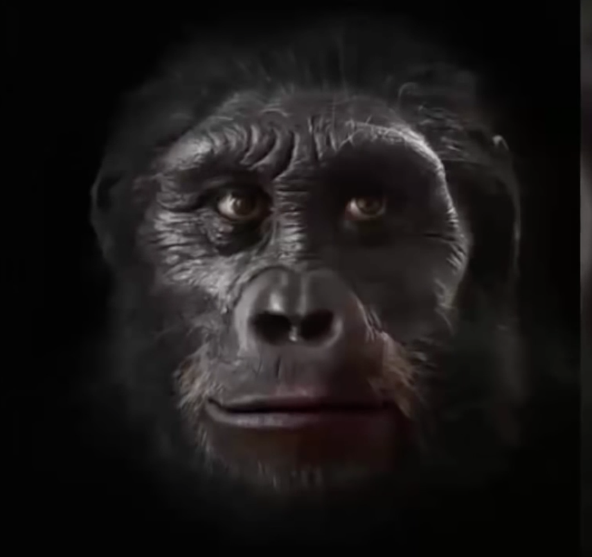 (CAPTURA DE VIDEO)