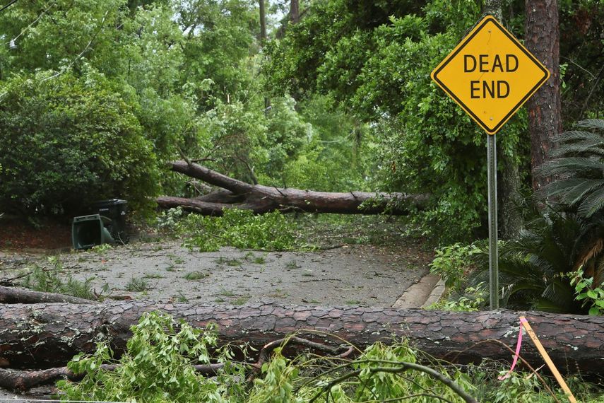 Árboles caídos bloquean una calle en Tallahassee, Florida.&nbsp;