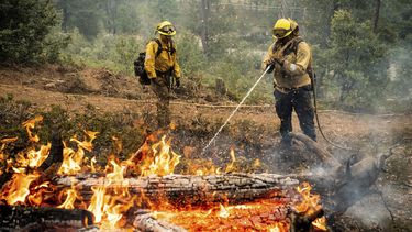 Los bomberos combaten un incendio en Jerseydale, condado Mariposa, California, el 25 de julio del 2022.&nbsp;