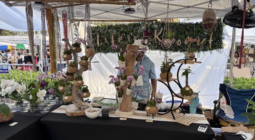 Plantas ornamentales y arreglos colgantes exhibidos en uno de los puestos de venta.
