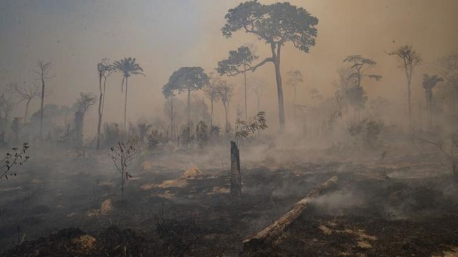 Casi el 20% de Brasil sufrió al menos un incendio en los últimos 35 años