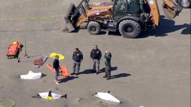 Equipos de emergencia asisten a delfines varados en Sea Isle, Nueva Jersey, el martes 21 de marzo de 2023.