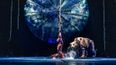 Luzia, Cirque du Soleil. Luzia, Cirque du Soleil.