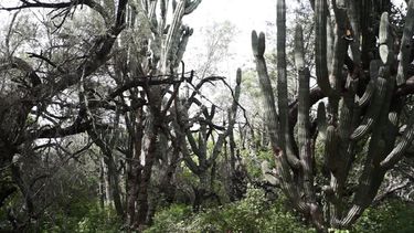Vista general del santuario.