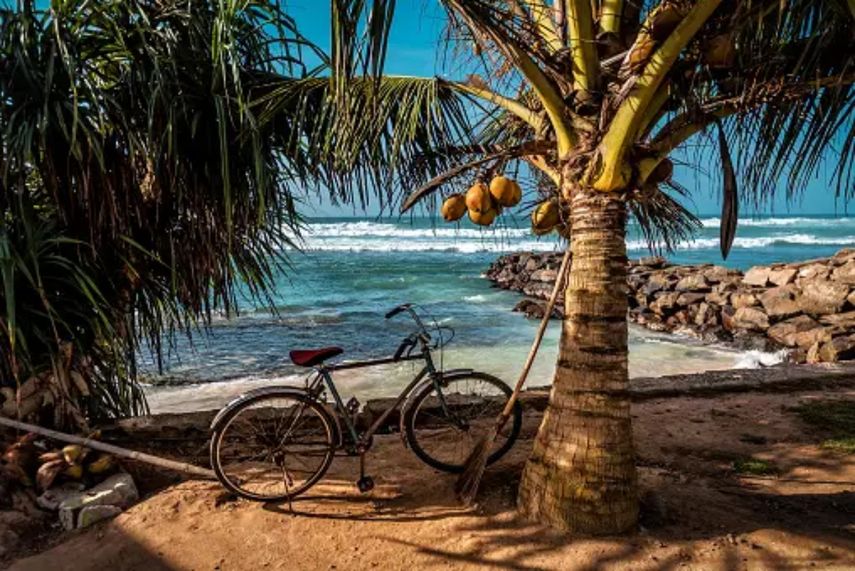 Foto de las playas de Sri Lanka