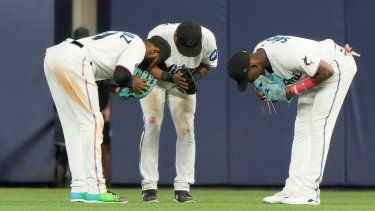 Diario las Américas | jardinerosmarlijns.jpg