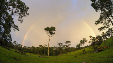 Proteger el 30% del planeta es el comienzo para salvarlo