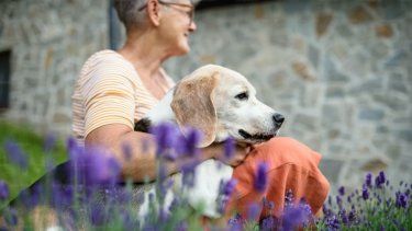 La compañía de las mascotas ayuda a mejorar la memoria de las personas mayores