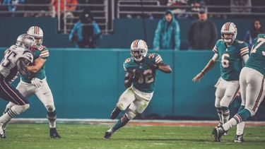 Los Dolphins mantienen opción de avanzar a la postemporada.