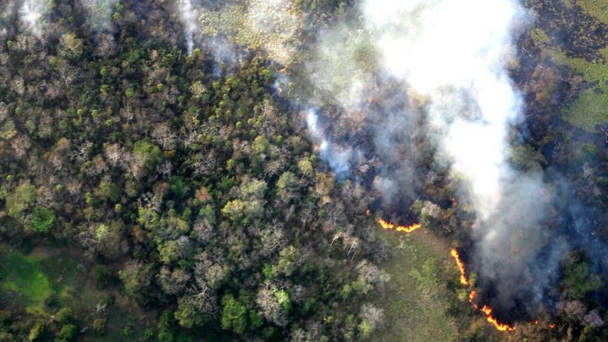 Fotografía del 11 de abril de 2017 de un incendio forestal en el área protegida Parque Nacional Laguna del Tigre, en el norte de&nbsp;Guatemala.