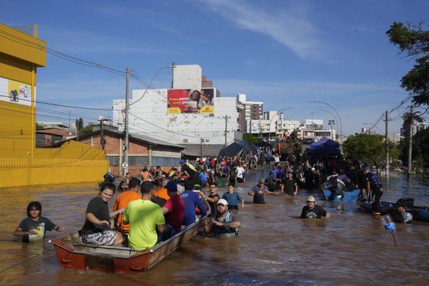 Brasil En Alerta Por Aumento De Enfermedades Causadas Por Roedores