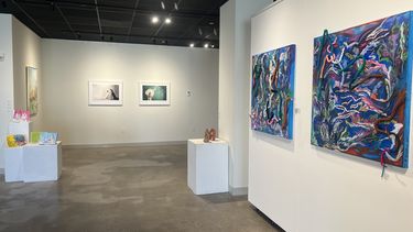 Exposición La mujer y sus causas en el Instituto Cultural de México en Miami.