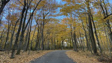 Peninsula State Park, Door County, Wisconsin.