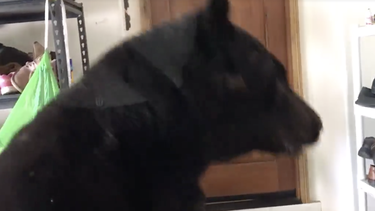 una mujer se graba mientras se encuentra atrapada en su garage