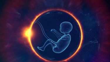 En 1978 nació la primera bebé probeta del mundo