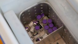 Dosis de la vacuna contra COVID-19 están en una hielera antes de ser administradas a trabajadores de la salud en la base militar de Querétaro, México, el jueves 24 de diciembre de 2020