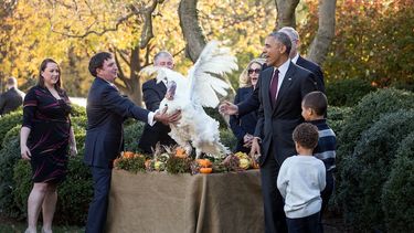 El presidente Barack Obama y sus sobrinos Austin y Aaron Robinson miran el Día Nacional de Acción de Gracias al pavo, Tater, colgajo durante el perdón de la ceremonia nacional de Thanksgiving &nbsp;en el Jardín de las Rosas de la Casa Blanca&nbsp;