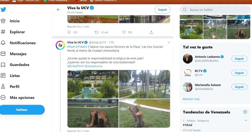 Los sauces llorones de m&aacute;s de 60 a&ntilde;os de historia en esta plaza caraque&ntilde;a fueron talados bajo ning&uacute;n argumento.