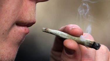 Florida, en un mediano plazo, podría ser un estado donde sería legal fumar marihuana.
