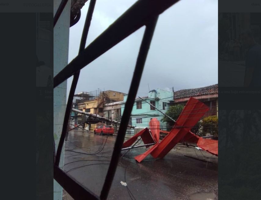 Arboles caídos en el municipio Playa tras el paso de la baja extratropical por la capital cubana.&nbsp;