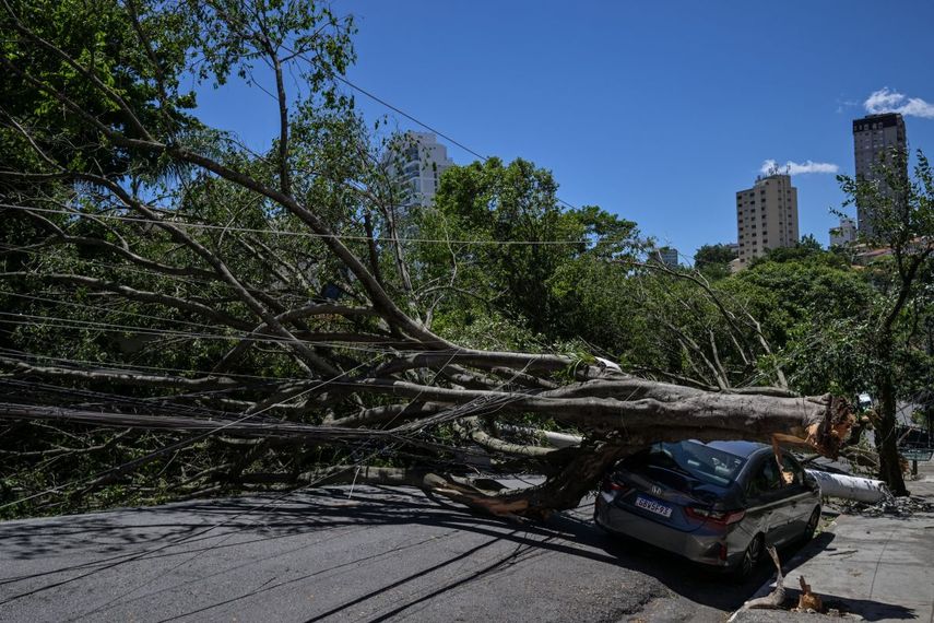 Vista de árboles caídos sobre un automóvil en una calle tras fuertes vientos, en Sao Paulo, Brasil, el 11 de diciembre de 2025.