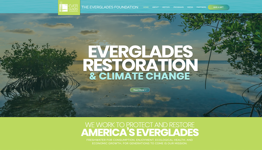 Página web de The Everglades Foundation.&nbsp;