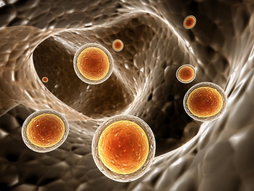 &nbsp;Células cancerosas.&nbsp;