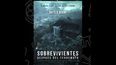 Película Sobrevivientes: después del terremoto.