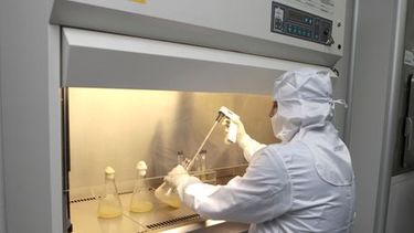 Los voluntarios recibieron tres dosis durante un período de 20 semanas. Foto: El Nacional