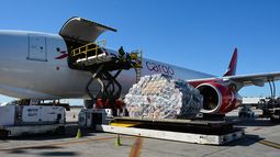 Miles de toneladas de flores llegan al Aeropuerto Internacional de Miami con Avianca Cargo. Miles de toneladas de flores llegan al Aeropuerto Internacional de Miami con Avianca Cargo.