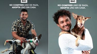 Imagenes de la campaña No compres uno de raza, adopta uno sin casa.&nbsp;