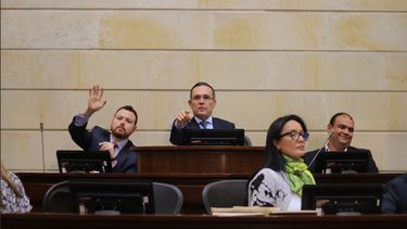 Durante la discusión de tres días en la plenaria del Senado, el proyecto fue eliminado luego de que no consiguiera la votación necesaria para aprobar la conciliación.