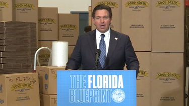Ron DeSantis, gobernador de Florida.&nbsp;