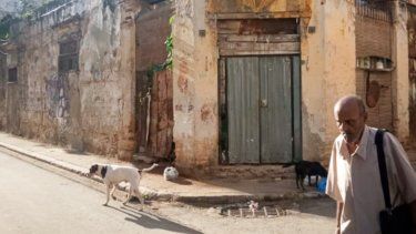 Pensiones miserables para el alto costo de la vida en Cuba a muchos ancianos no les queda otra que mendigar o vender en la calle para sobrevivir.
