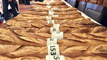 Las baguettes que 180 aspirantes han presentado hoy en París a la vigésimo tercera edición del Gran Premio de la mejor baguette de la ciudad, que se ha convertido en un clásico de la capital francesa.