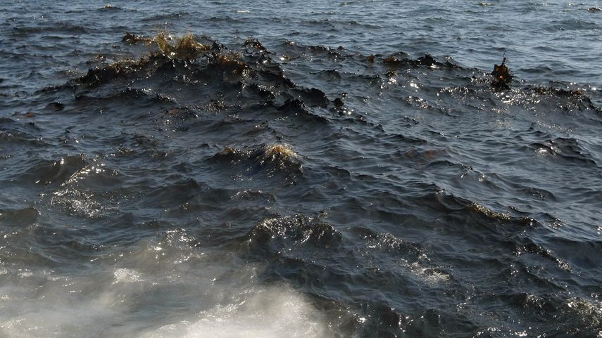 De acuerdo con la compañía, tan pronto fue detectado el derrame, se activó inmediatamente el plan de emergencia y se tomaron medidas de control de la situación cesando la fuga.