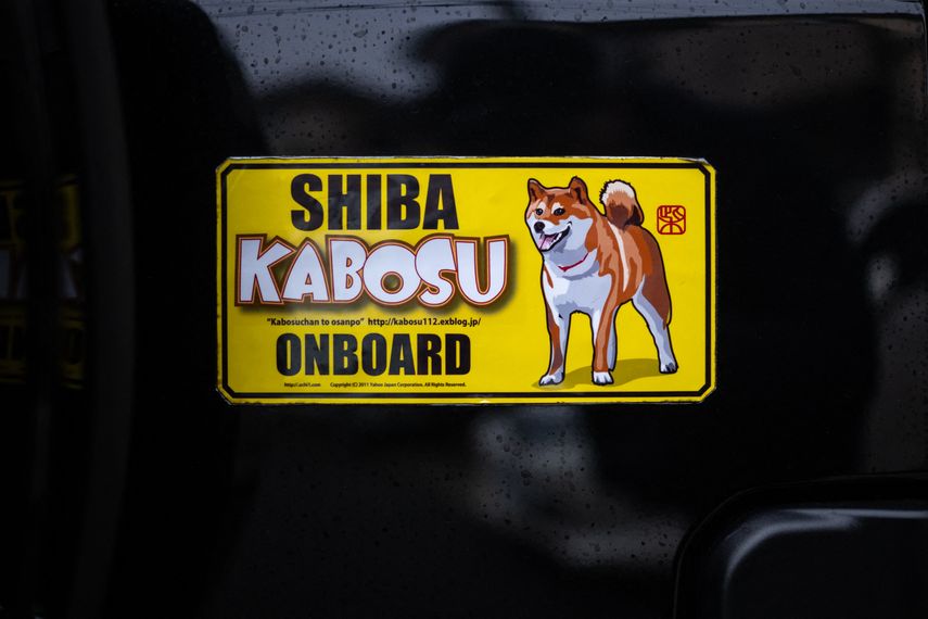 Esta fotografía tomada el 19 de marzo de 2024 muestra una pegatina de la perrita shiba inu japonés Kabosu, mejor conocido como el logotipo de la criptomoneda Dogecoin, fotografiada en el automóvil de su dueño Atsuko Sato mientras se dirigen a su oficina en Sakura, prefectura de Chiba, al este de Tokio.