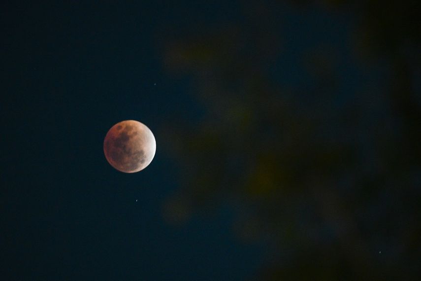 Esta fotografía muestra una vista de la luna llena, también conocida como Luna de Sangre, con hojas en primer plano durante una fase de un eclipse lunar total en Manila el 3 de marzo de 2026.&nbsp;