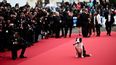 Messi, el perro protagonista de la película Anatomie dune Chute (Anatomía de una caída), posa en la alfombra roja a su llegada a la ceremonia de inauguración y a la proyección de la película Le Deuxieme Acte en la 77 edición del Festival de Cine de Cannes en Cannes, sur de Francia, el 14 de mayo de 2024.