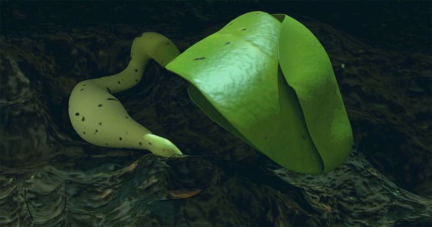 Imagen de las dos hojas de algod&oacute;n en el experimento biol&oacute;gico chino en la cara oculta de la Luna.