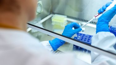 Una especialista médica realiza un examen de laboratorio.