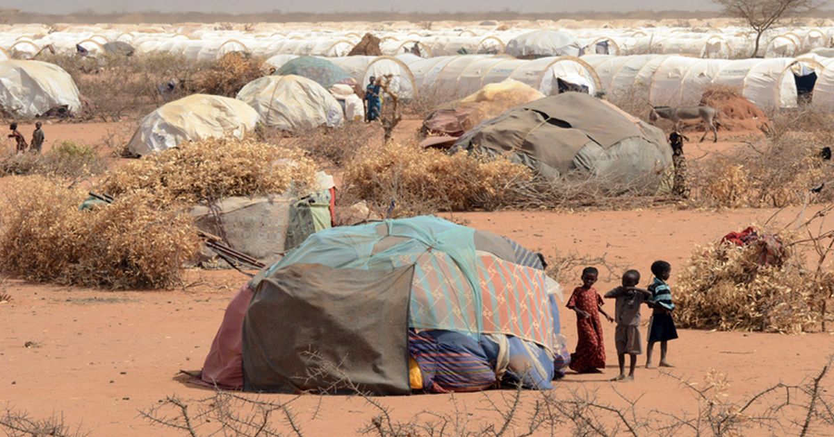 Seis millones de personas pasan hambre en la región de lago Chad y Burundi