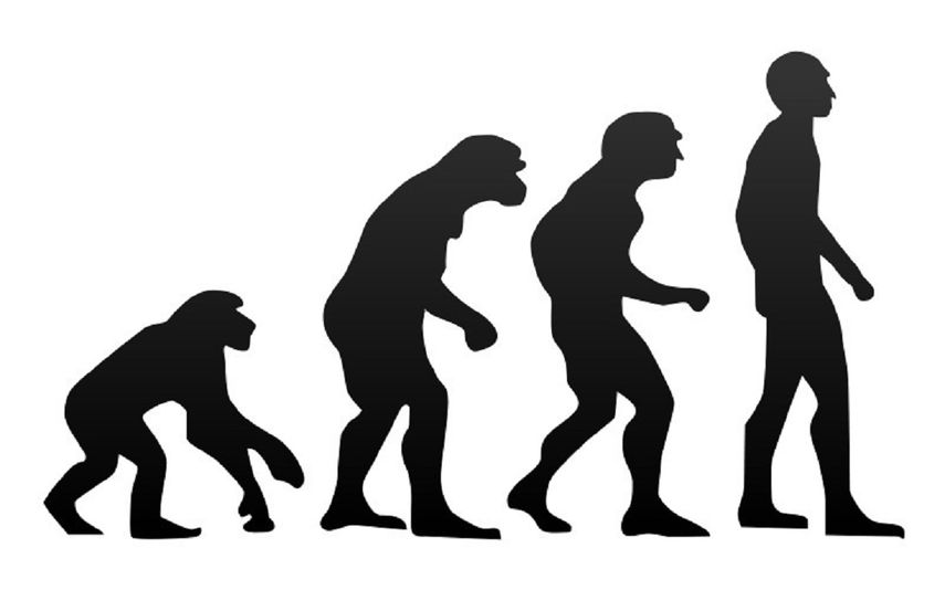Una nueva teoría de la evolución molecular ofrece información sobre cómo funcionan los genes, cómo se pueden predecir las tasas de divergencia evolutiva y cómo surgen las mutaciones perjudiciales.