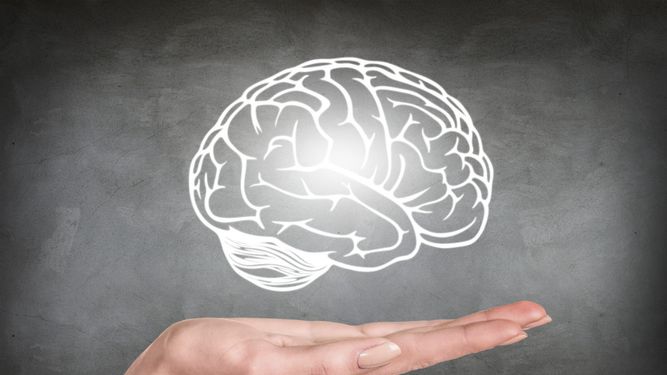 El diagnóstico de esta terrible enfermedad comienza con el estudio de la historia familiar, una tomografíay una resonancia magnética del cerebro.